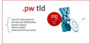 .PW – Professional Web
