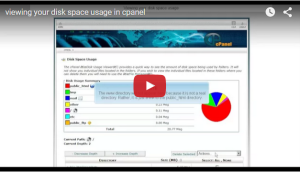 Viewing Your Disk Space Usage In Cpanel