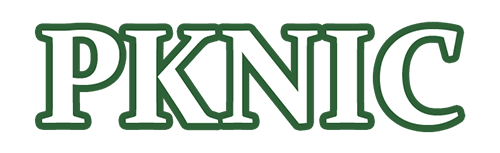 use a .PK domain
