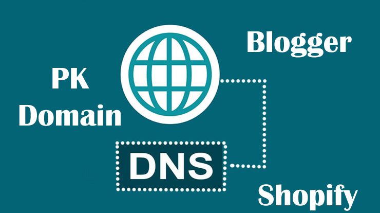 connect a .PK domain to my website
