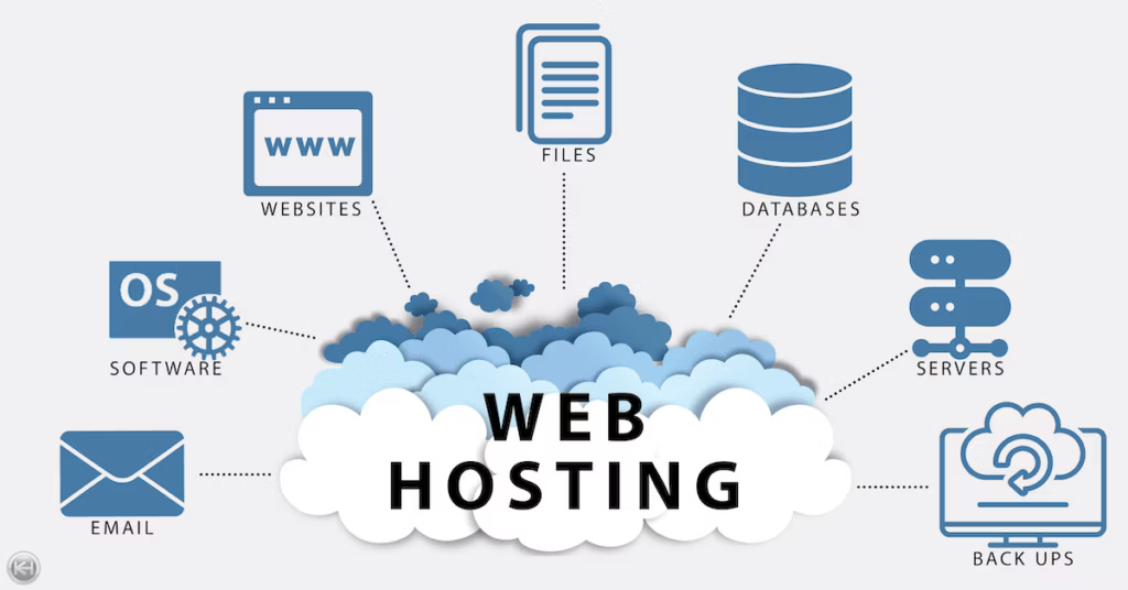 what is web hosting
